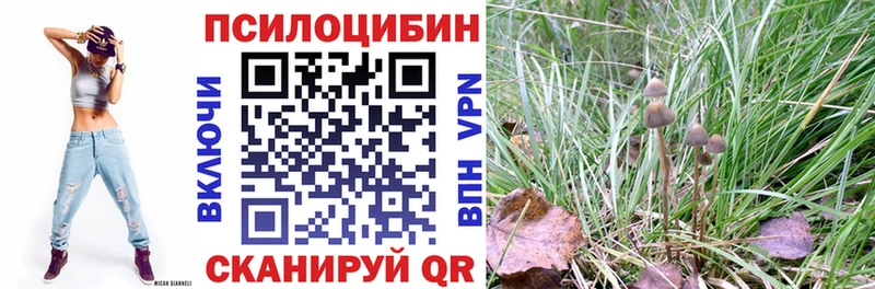 Галлюциногенные грибы ЛСД  ОМГ ОМГ сайт  Гусев 