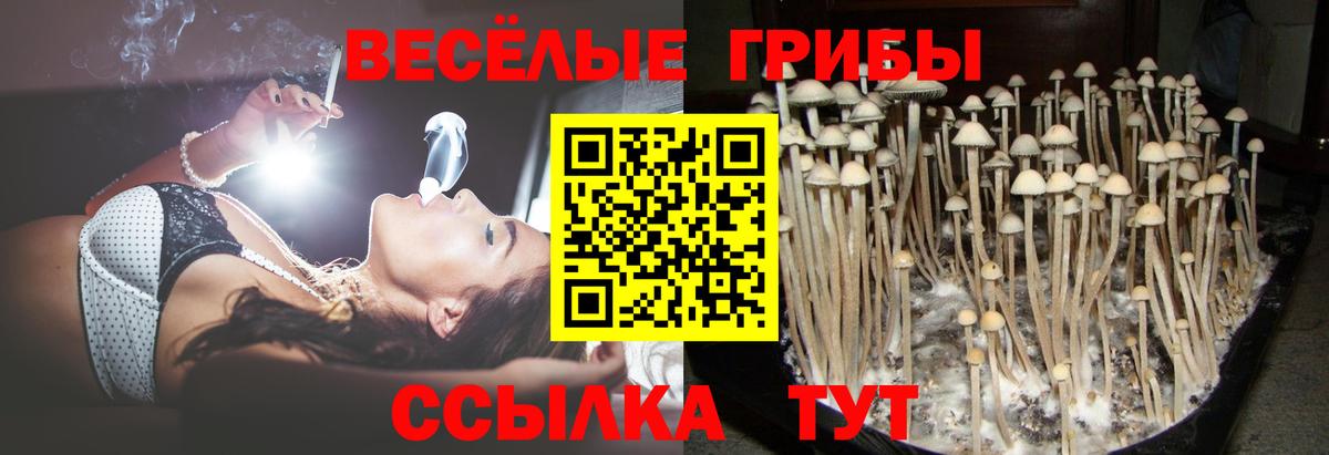 Галлюциногенные грибы мухоморы  Псилоцибиновые грибы Magic Shrooms  Гусев 