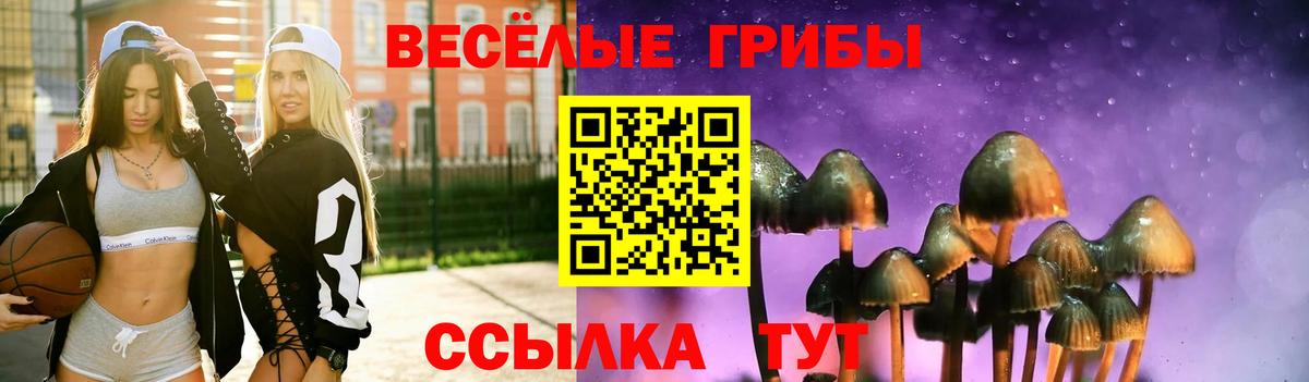 Псилоцибиновые грибы мухоморы  Вход с VPN  Гусев 