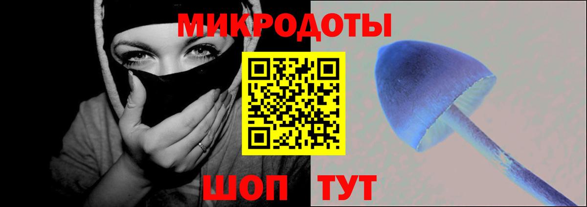 Галлюциногенные грибы Cubensis Гусев